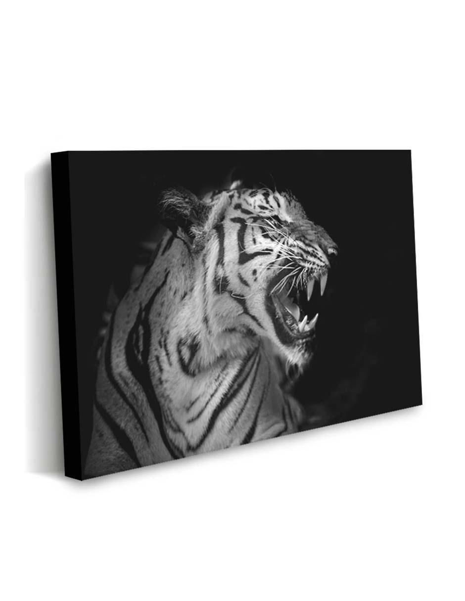 Cuadro decorativo Fotografía de tigre con barniz a registro 2