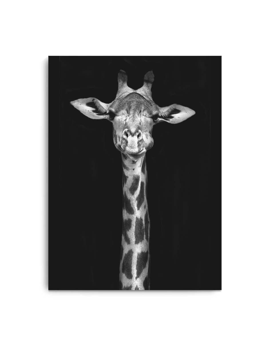 Cuadro decorativo Jirafa en blanco y negro con barniz a registro