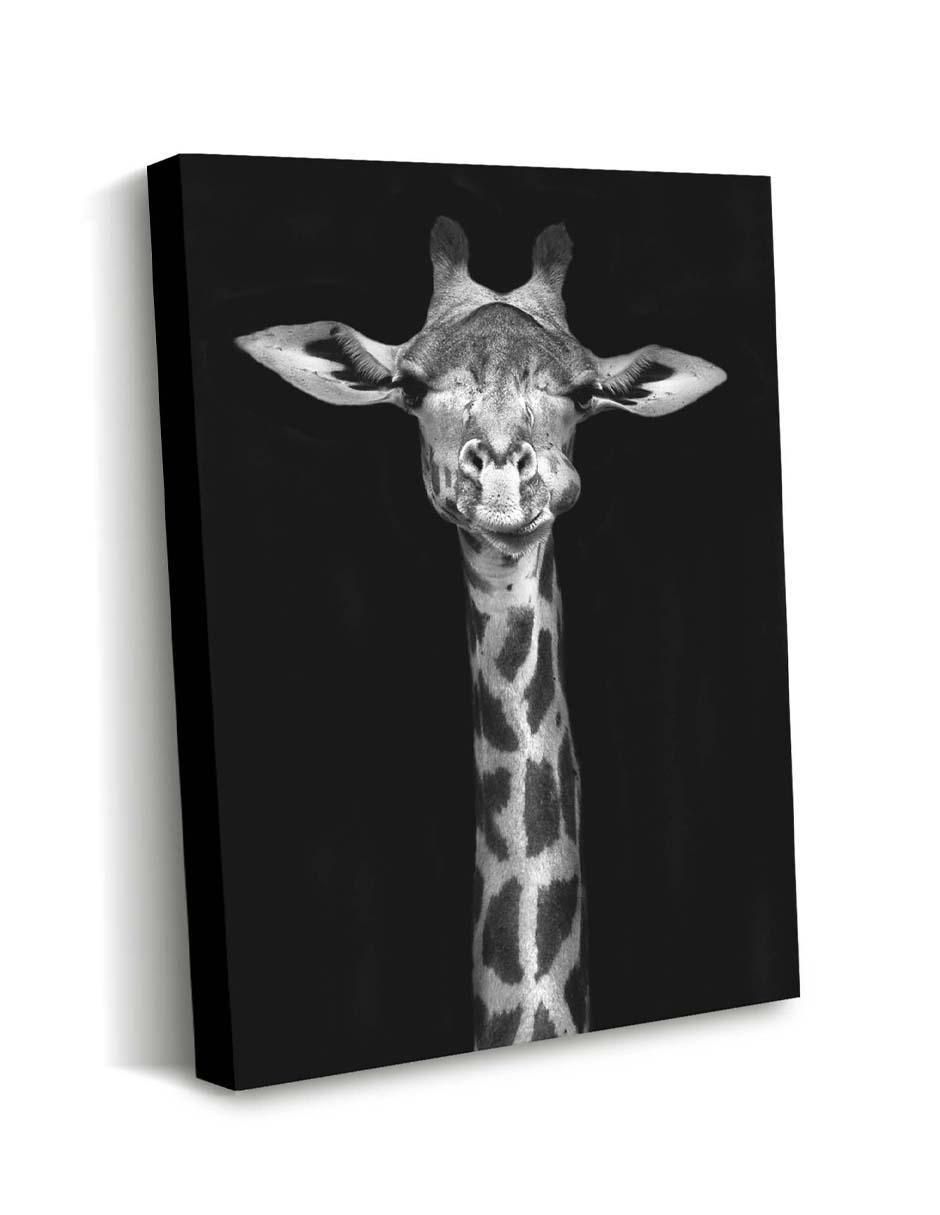 Cuadro decorativo Jirafa en blanco y negro con barniz a registro 2