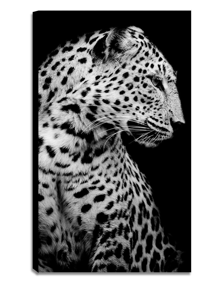 Litografía Animales técnica acrílico Litografía Animales técnica acrílico