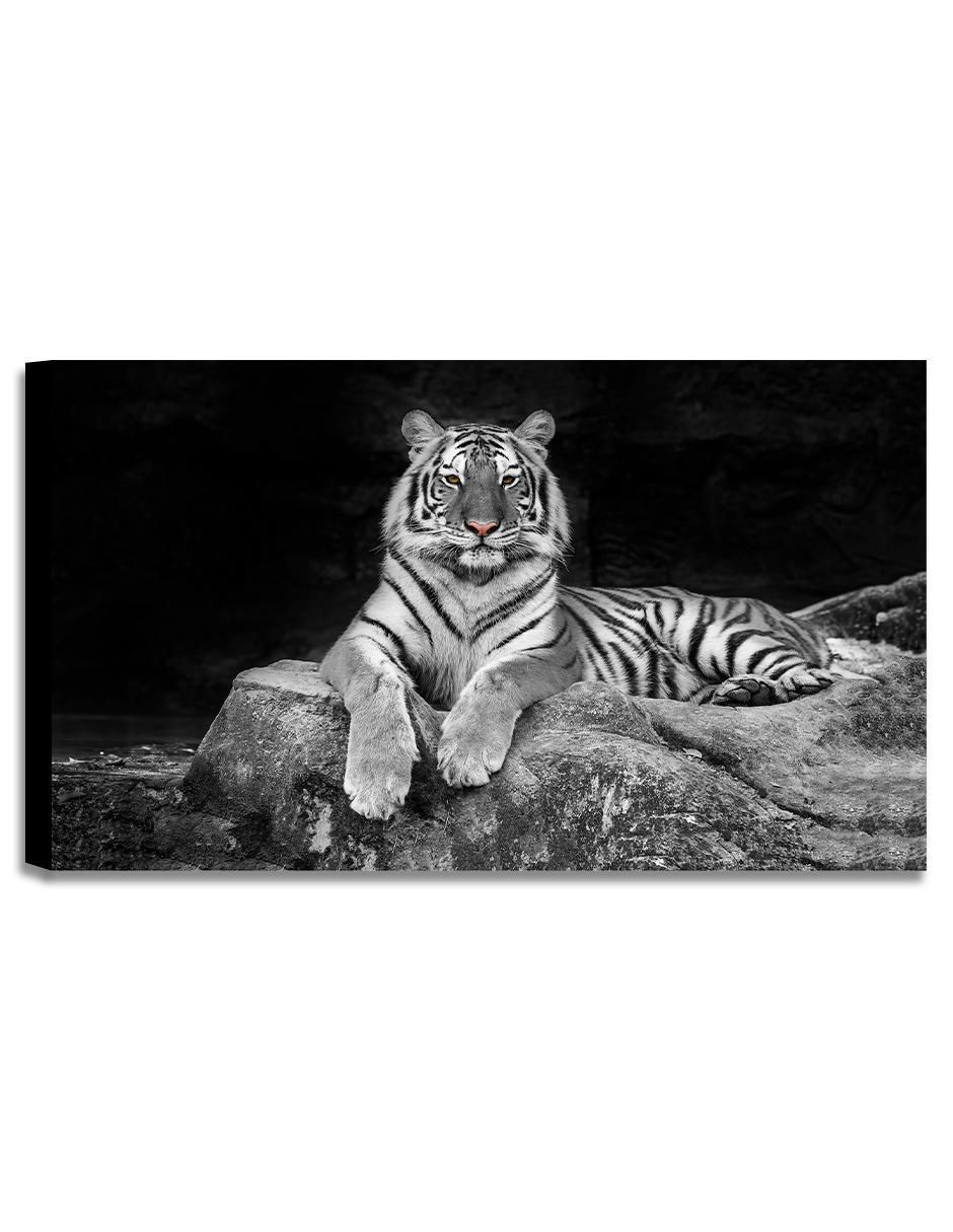 Litografía Animales técnica mixta