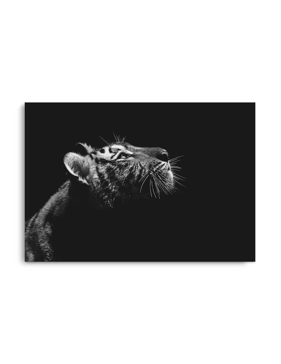 Cuadro decorativo Perfil de tigre con barniz a registro Cuadro decorativo Perfil de tigre con barniz a registro