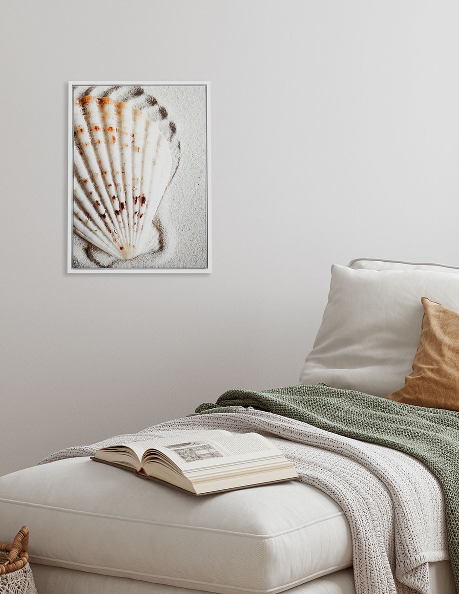 Fotografía Coquille 5