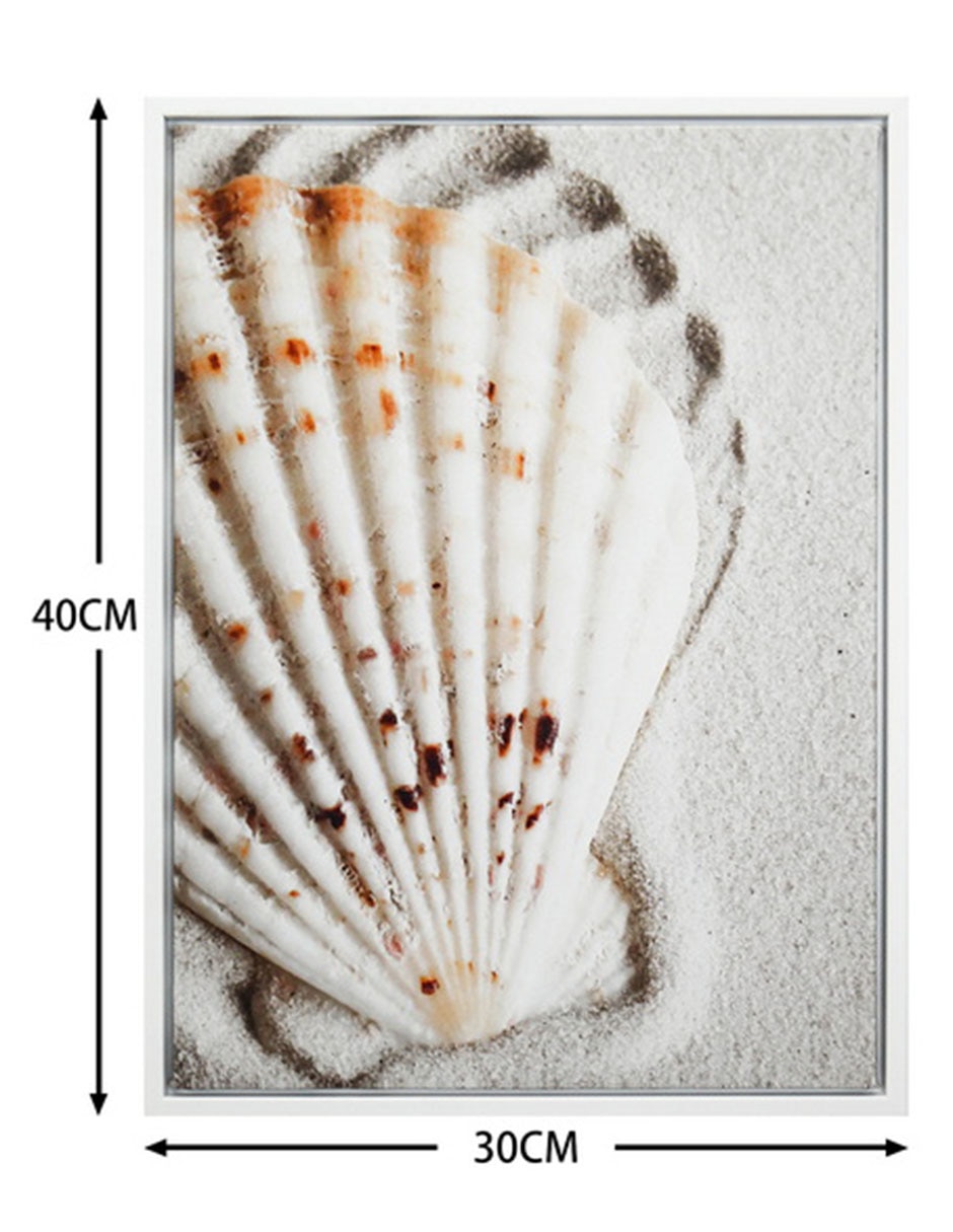 Fotografía Coquille 6