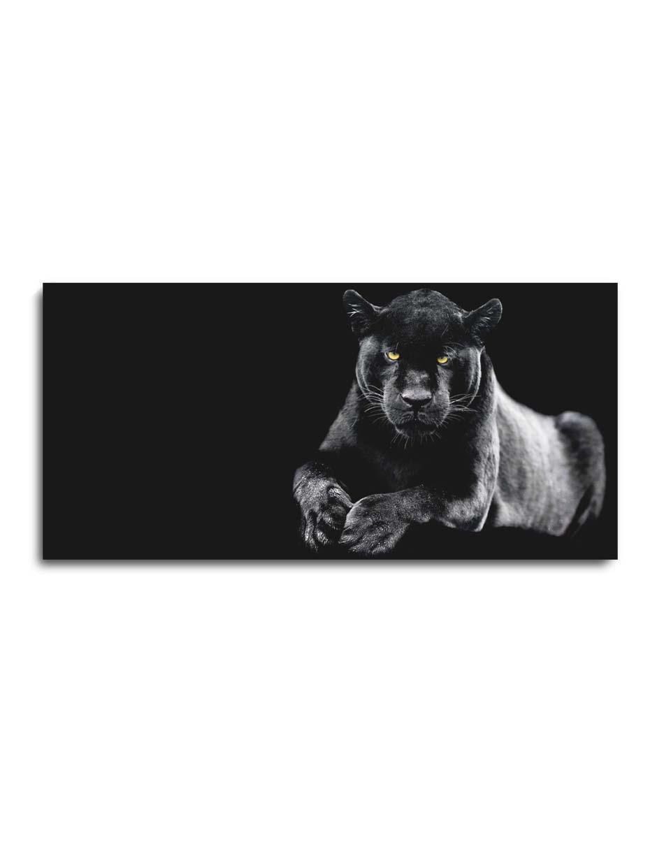 Cuadro decorativo Puma en la obscuridad con barniz a registro