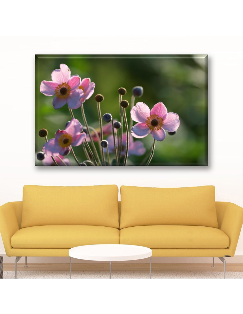 Cuadro decorativo Anémonas rosas 2