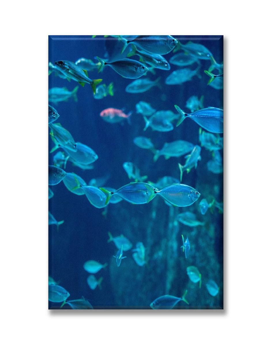 Cuadro decorativo Acuario de peces