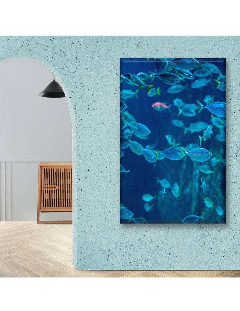 Cuadro decorativo Acuario de peces 3