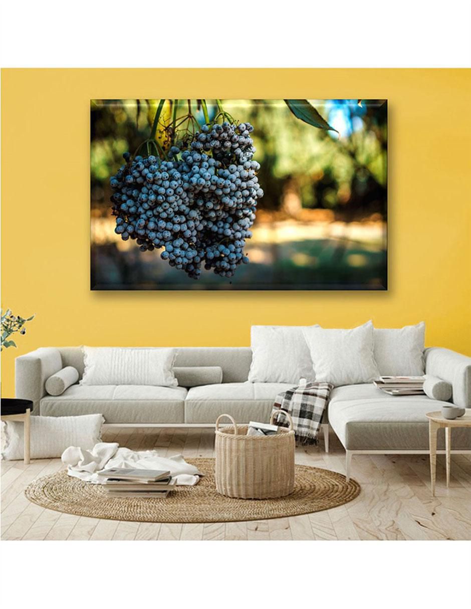 Cuadro decorativo Cosecha de uvas 3