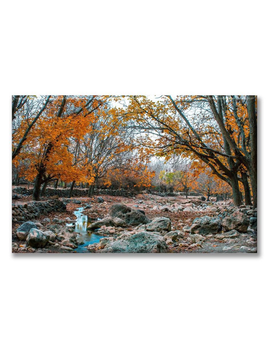 Cuadro decorativo Bosque de árboles naranjas Cuadro decorativo Bosque de árboles naranjas