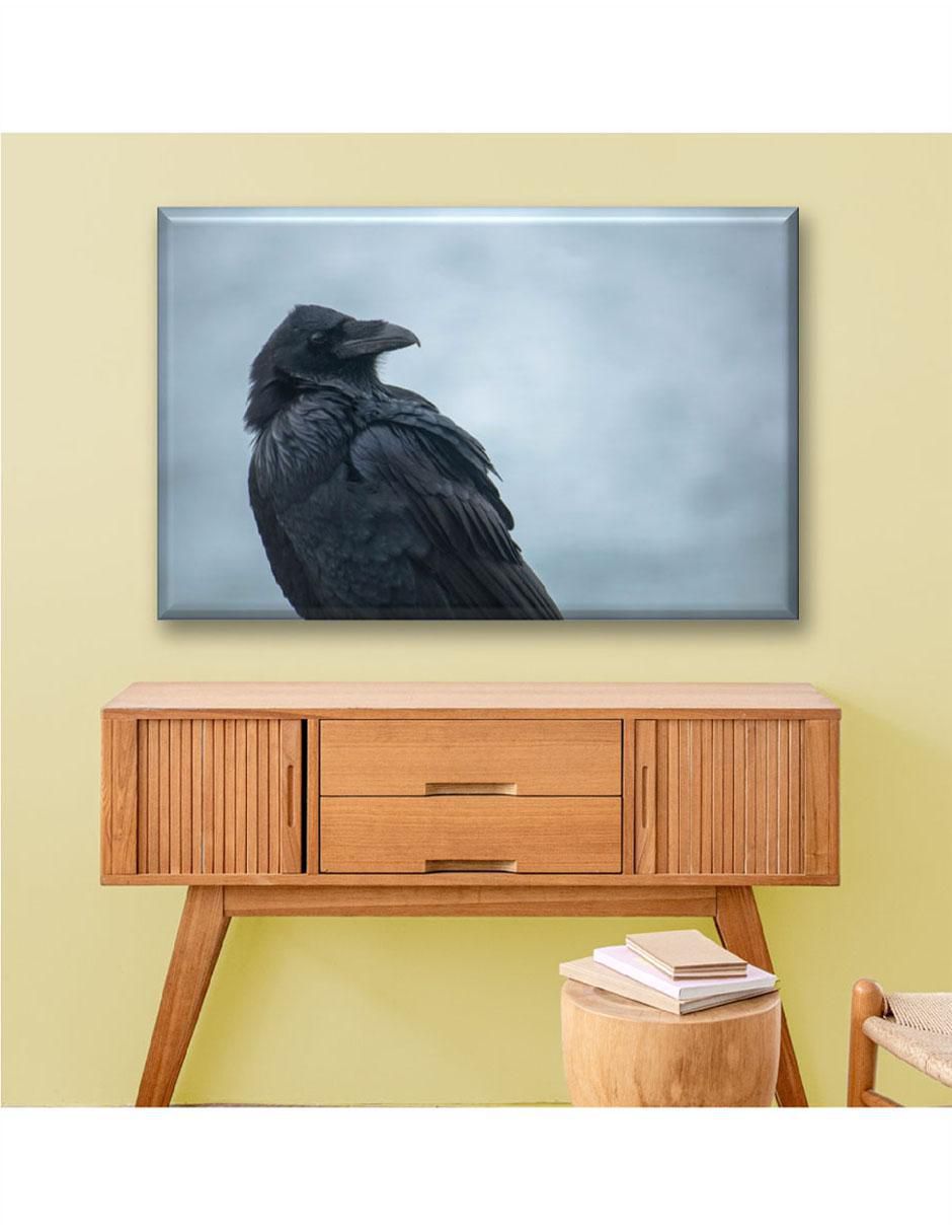 Cuadro decorativo Cuervo 3