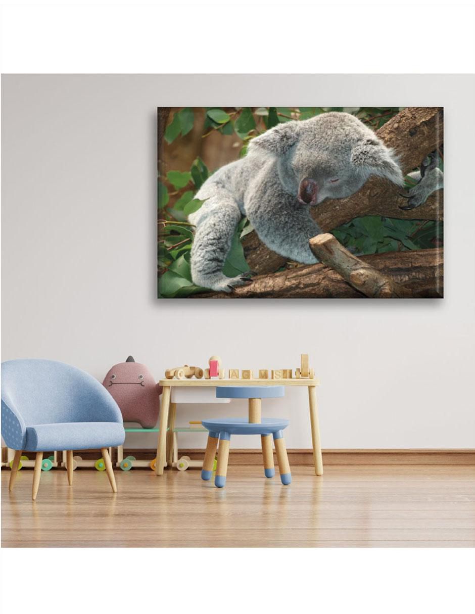 Cuadro decorativo Koala durmiendo 3