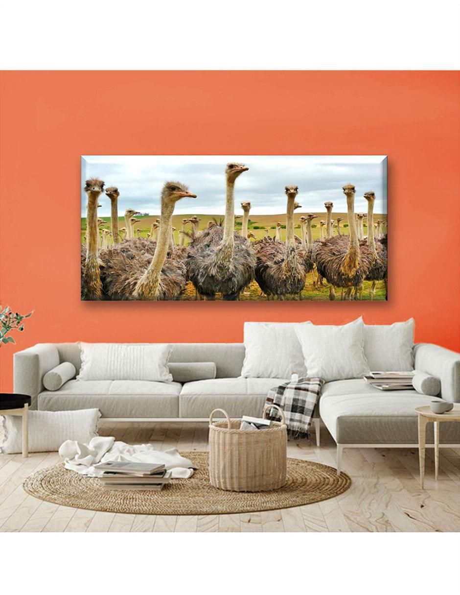Cuadro decorativo Avestruz 4