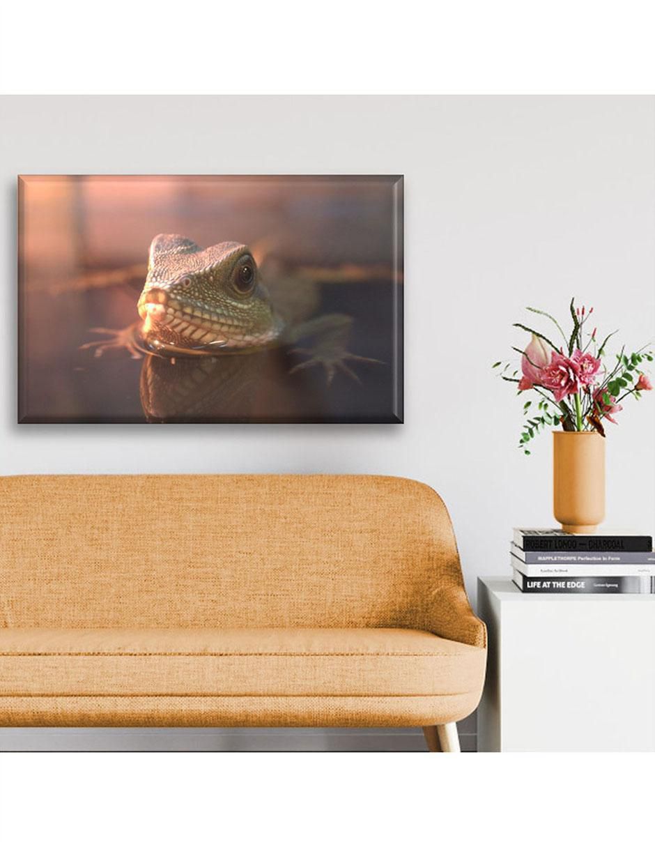 Cuadro decorativo Reptil nadando 4