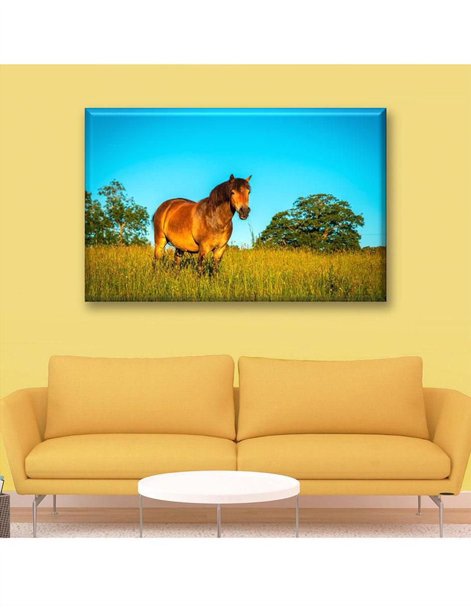 Cuadro decorativo Pixtreats caballo café 4