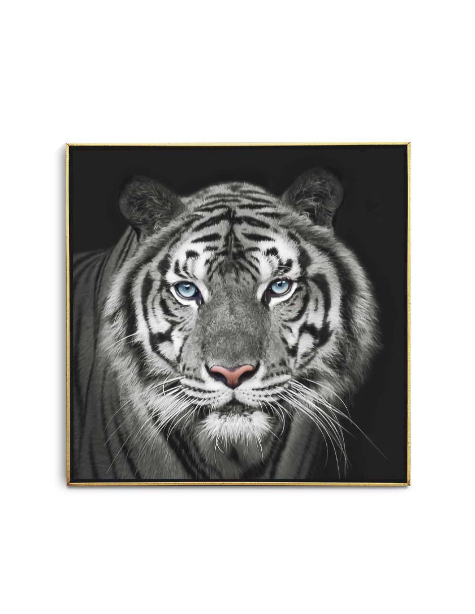 Cuadro decorativo Tigre blanco indochino con barniz a registro Cuadro decorativo Tigre blanco indochino con barniz a registro