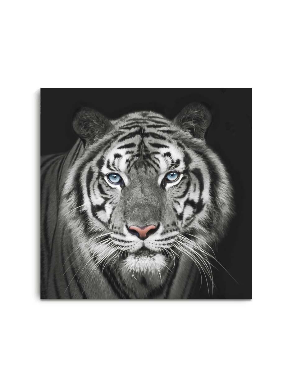 Cuadro decorativo Canvas Art Tigre blanco indochino con barniz a registro