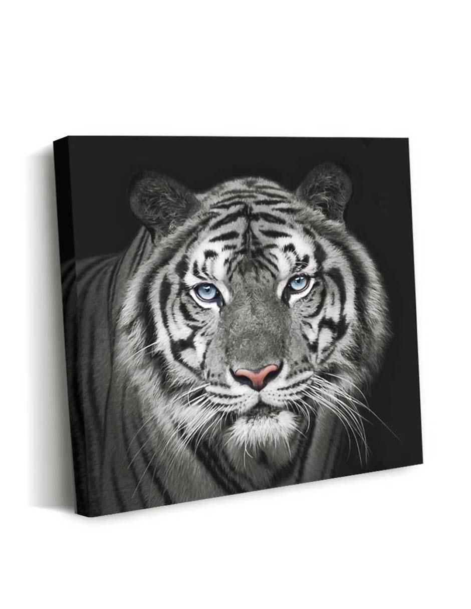 Cuadro decorativo Canvas Art Tigre blanco indochino con barniz a registro