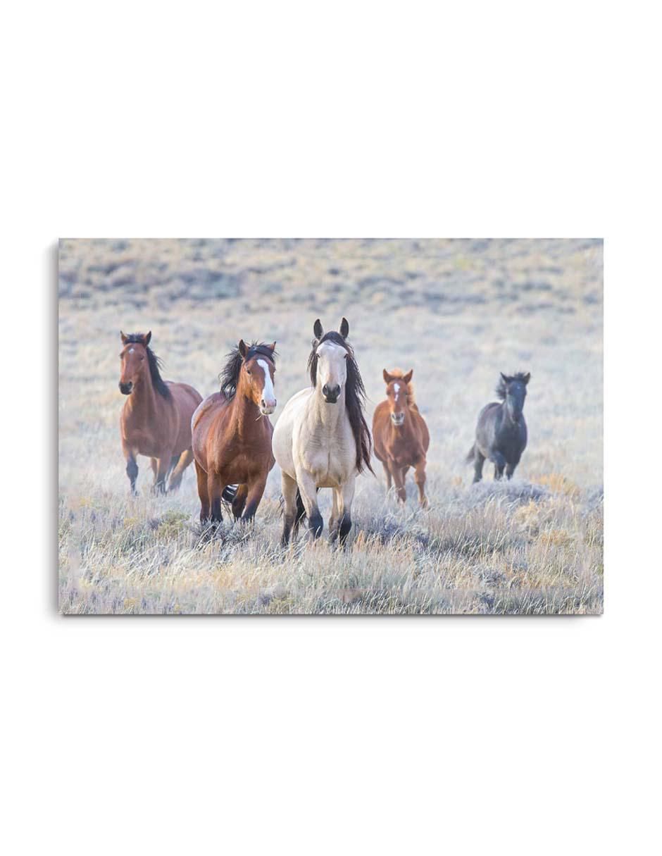 Cuadro decorativo Pequeña manada de caballos con barniz a registro