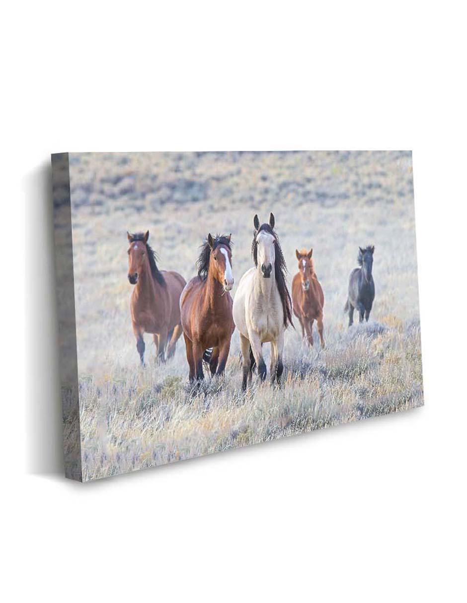 Cuadro decorativo Pequeña manada de caballos con barniz a registro 2
