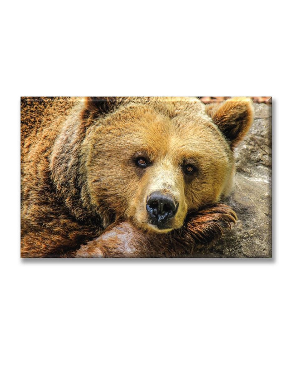 Cuadro decorativo Oso tierno