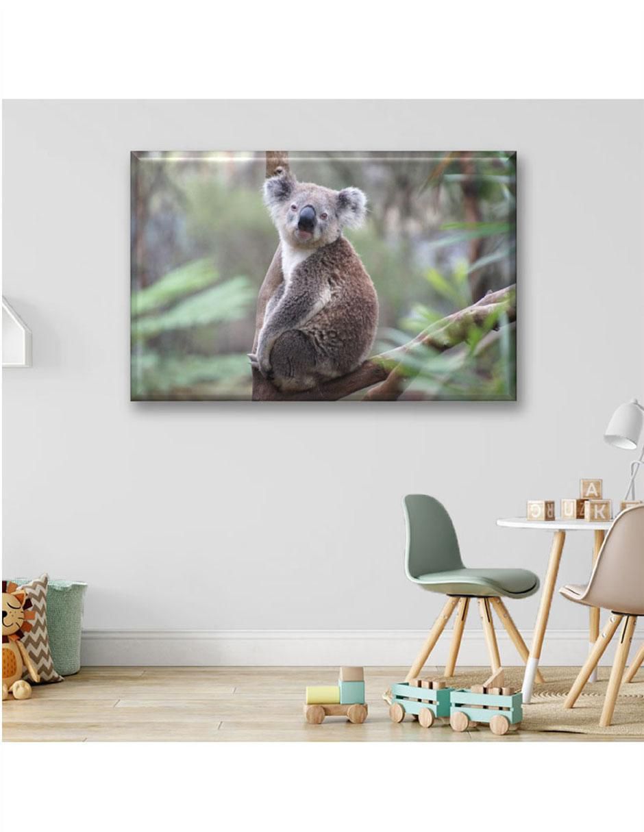 Cuadro decorativo Koala 3