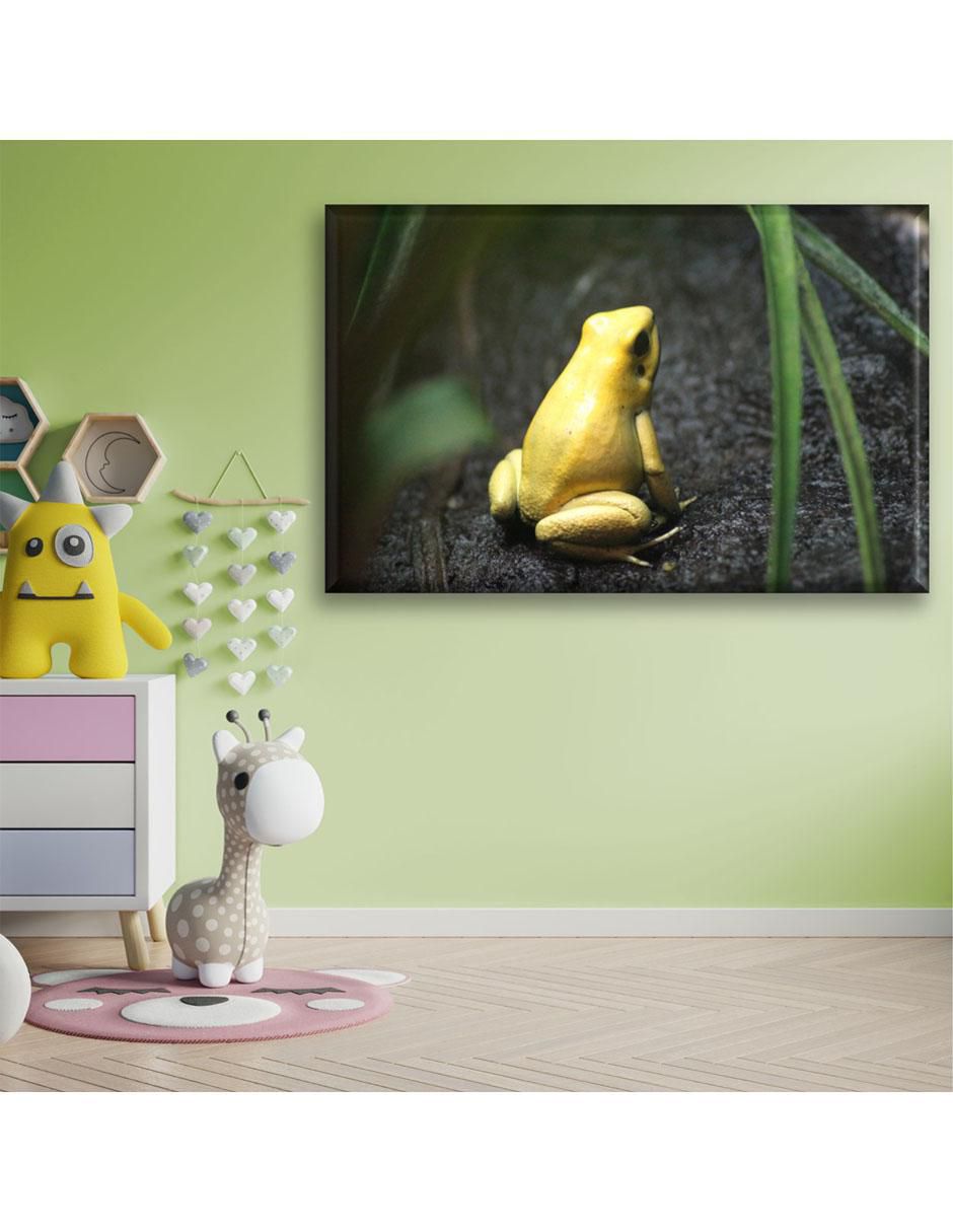 Cuadro decorativo Rana amarilla 3