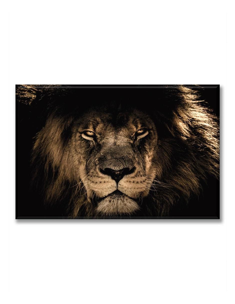 Cuadro decorativo Mirada león
