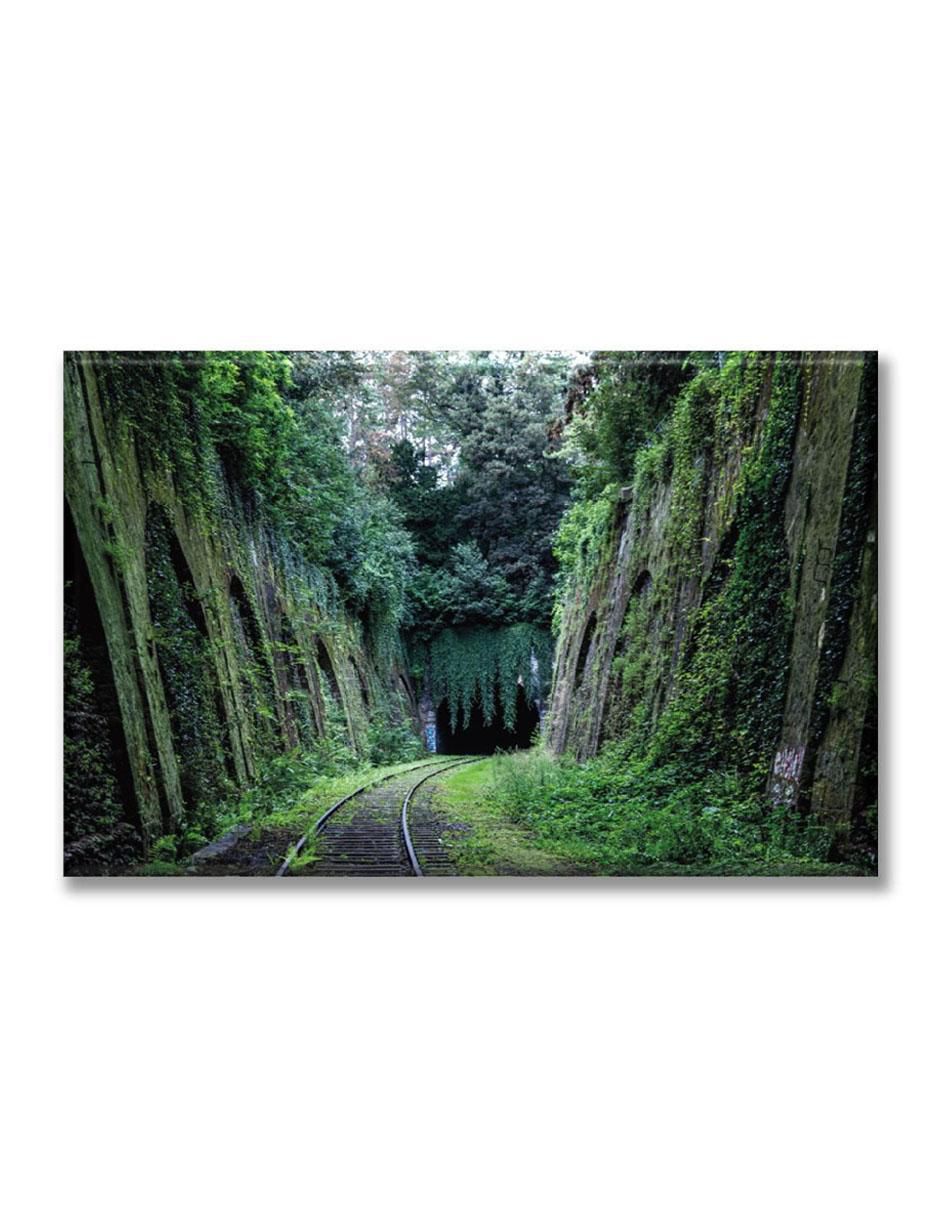 Cuadro decorativo Carril en el bosque 2