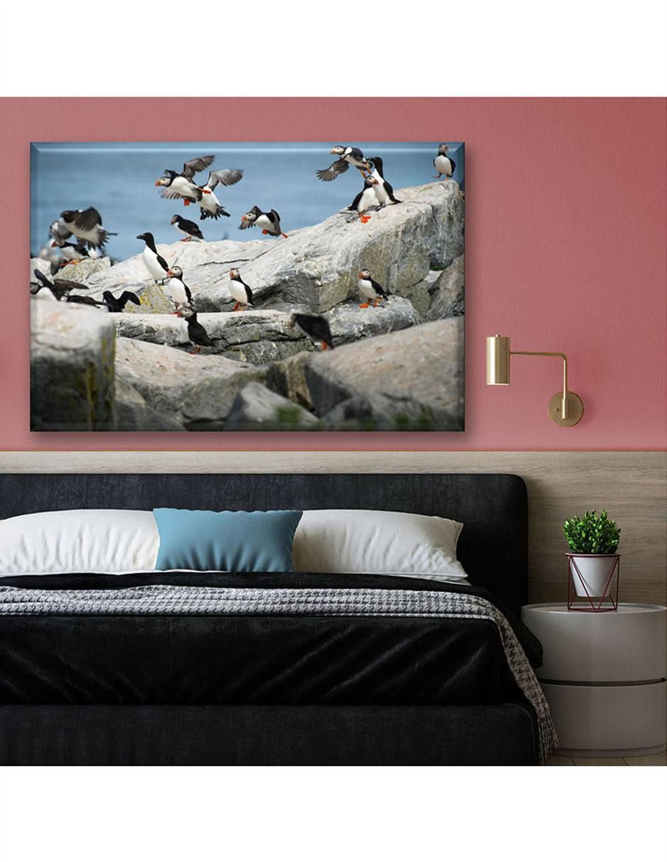 Cuadro decorativo Parvada de pingüinos 3