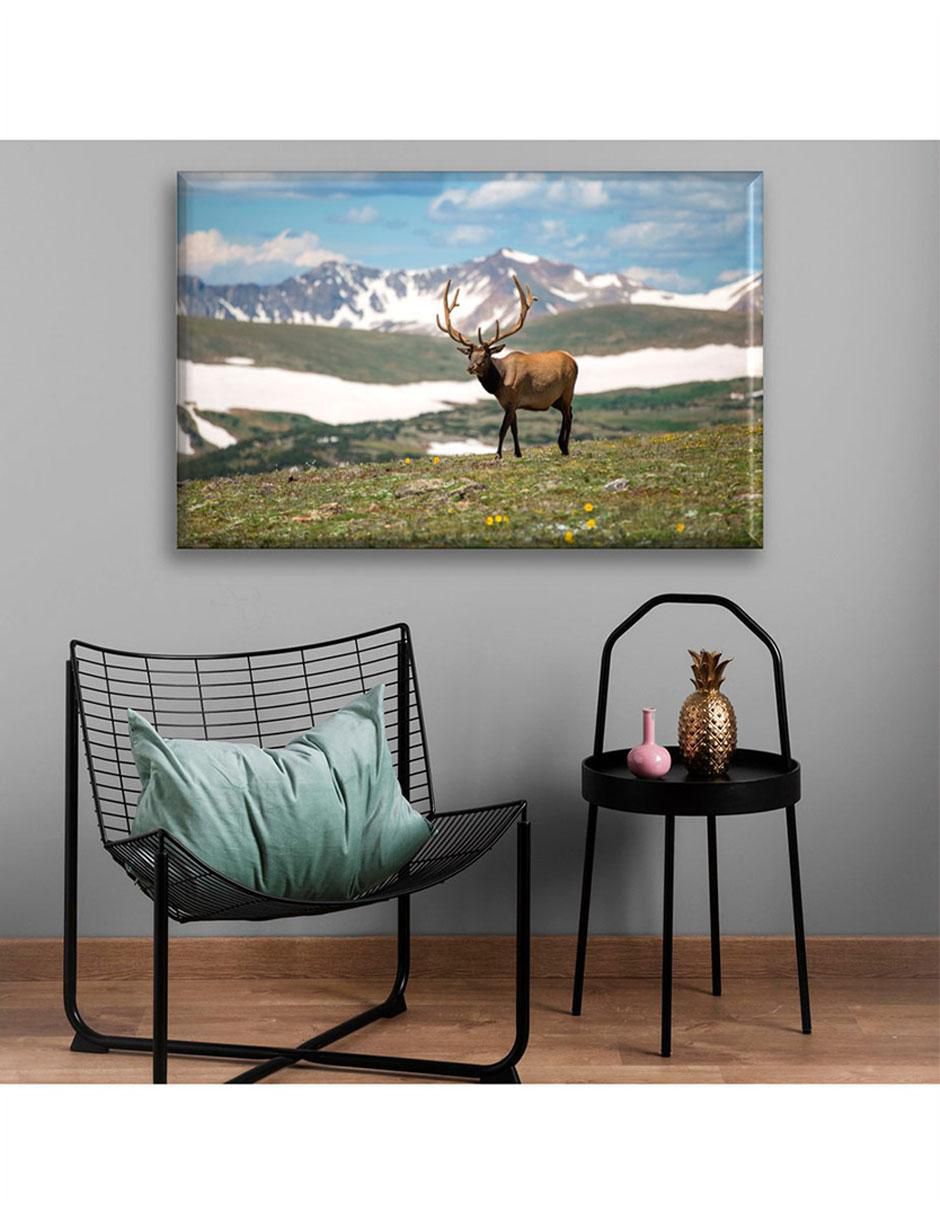Cuadro decorativo Ciervo 3