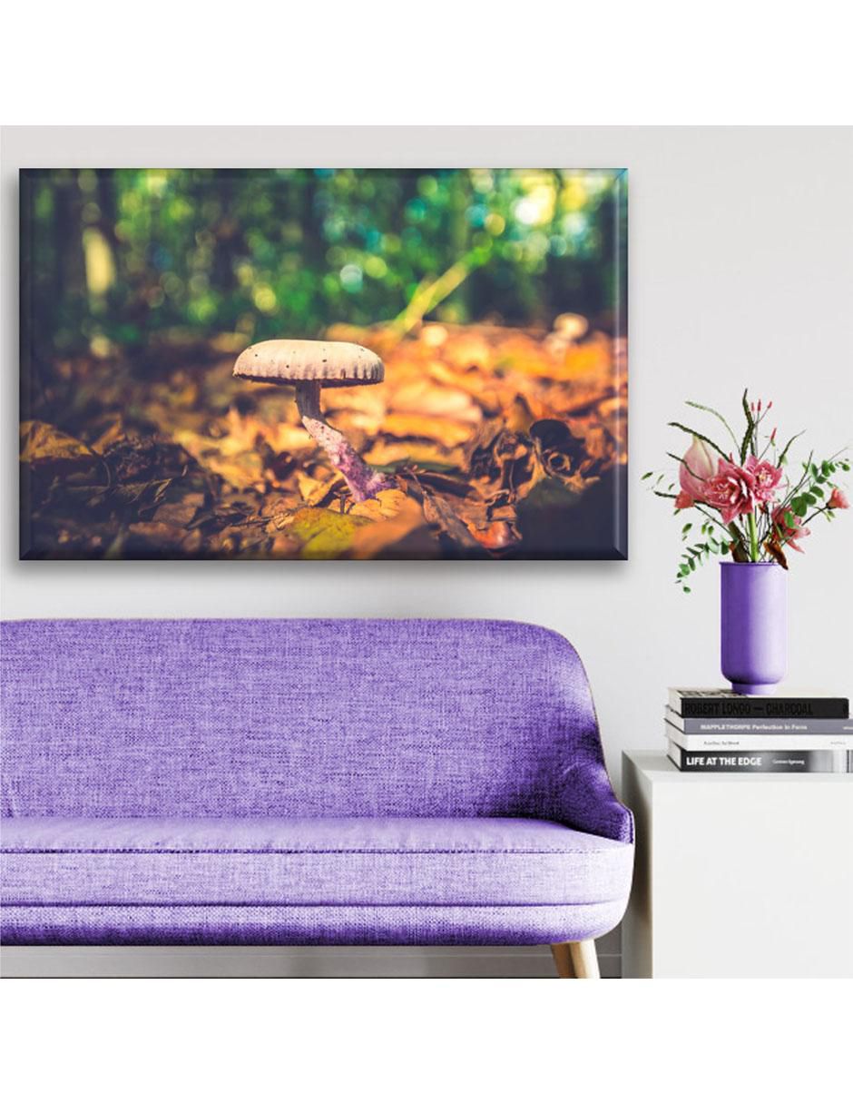 Cuadro decorativo Hongo 3