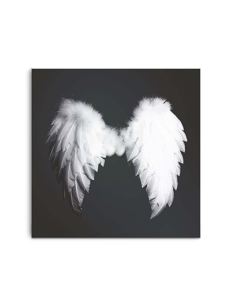 Cuadro decorativo Canvas Art Ala de ángel esponjosas con barniz a registro