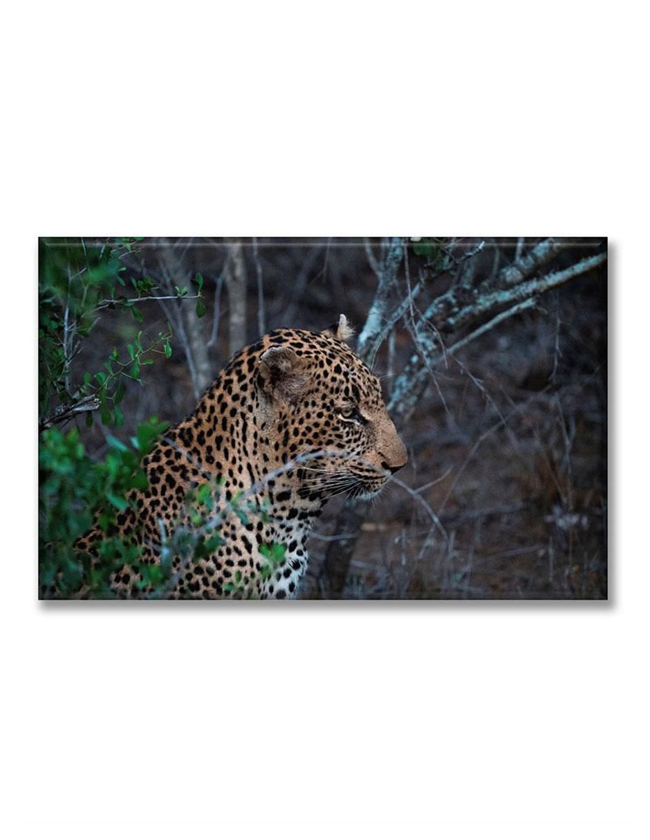 Cuadro decorativo Perfil de jaguar