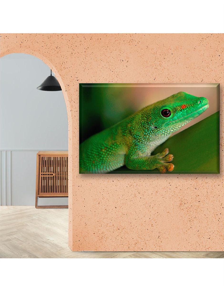 Cuadro decorativo Gecko 3