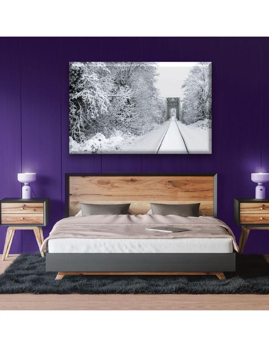 Cuadro decorativo Camino de nieve 3