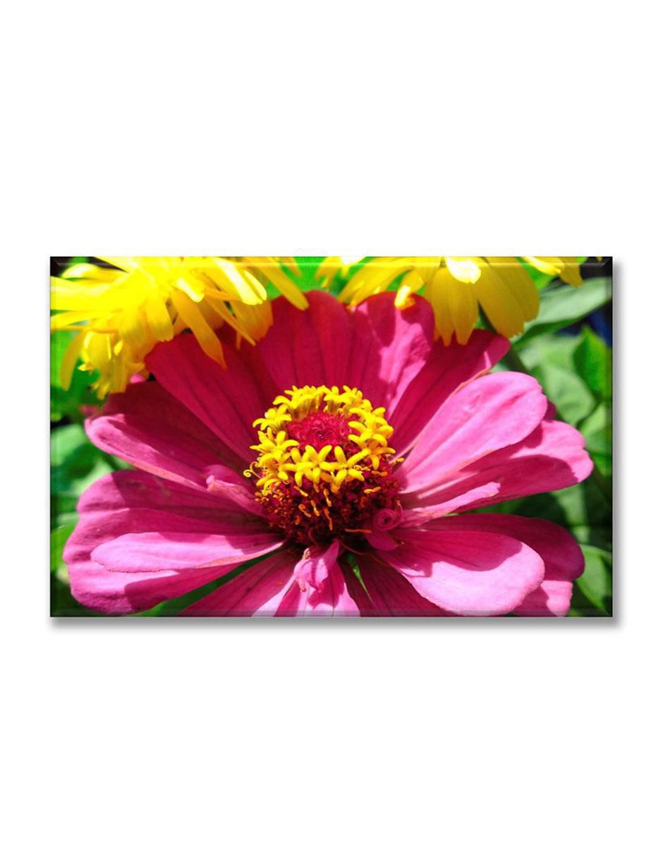Cuadro decorativo Flor silvestre magenta