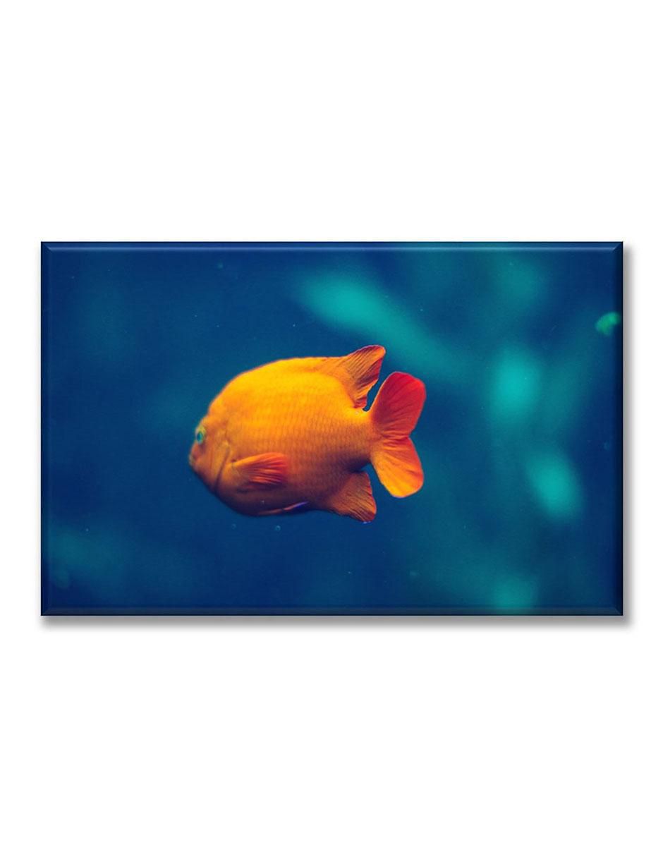 Cuadro decorativo Pez amarillo