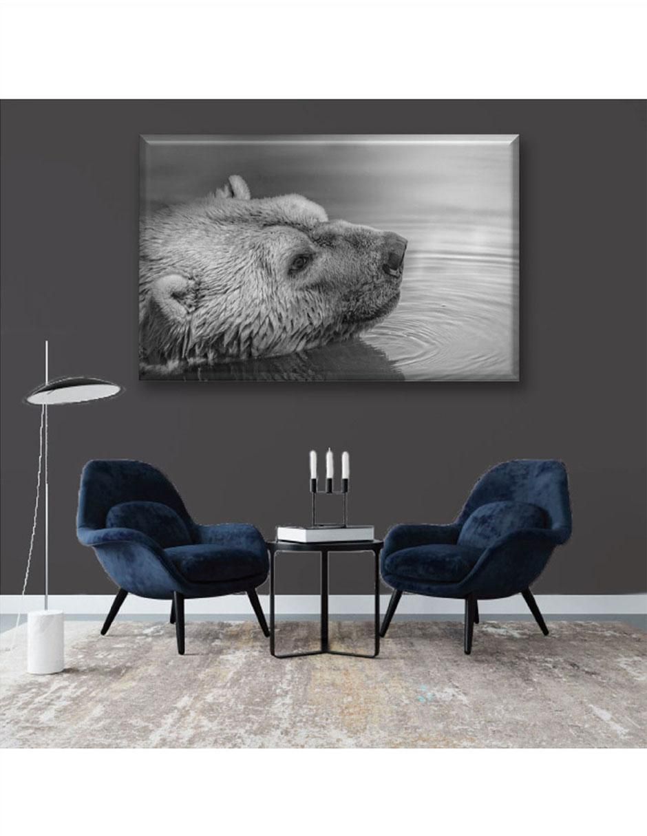 Cuadro decorativo Oso nadando 3