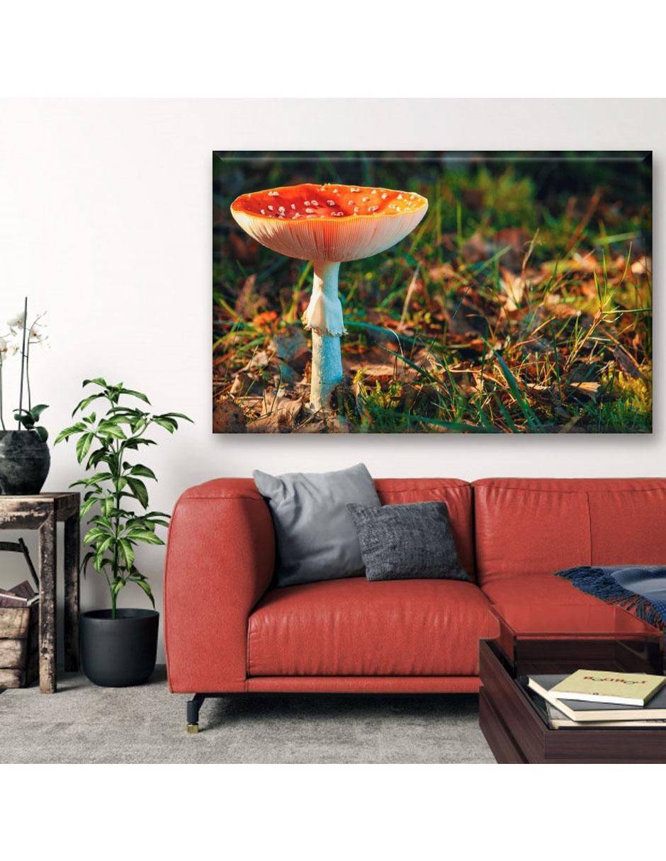 Cuadro decorativo Hongo matamoscas 3