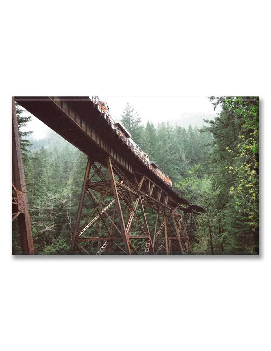 Cuadro decorativo Tren en el bosque
