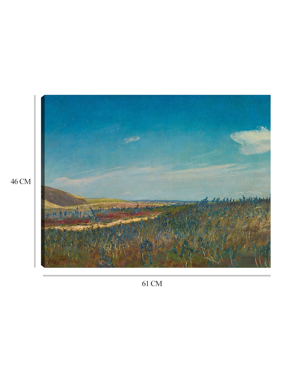 Cuadro decorativo Vista cerca de Karrebaeksminde en el norte de Zelanda (1901) técnica mixta Campos 2