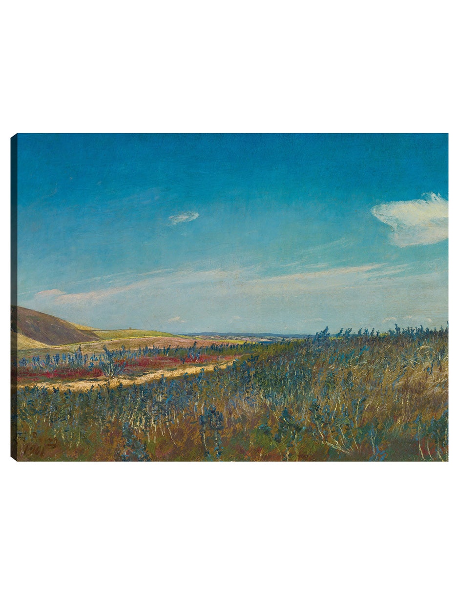 Cuadro decorativo Vista cerca de Karrebaeksminde en el norte de Zelanda (1901) técnica mixta Campos