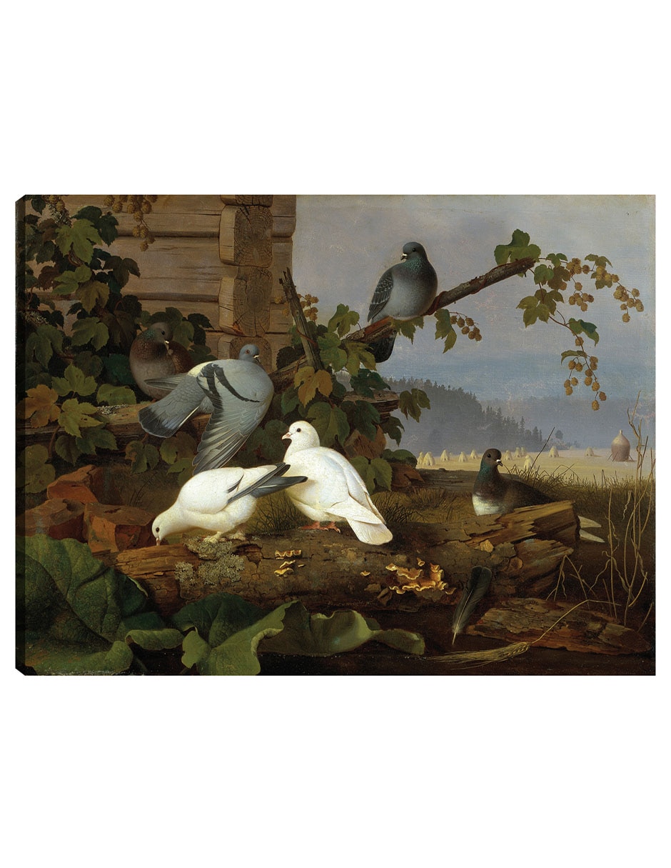 Cuadro decorativo Palomas técnica mixta Aves Silvestres Cuadro decorativo Palomas técnica mixta Aves Silvestres