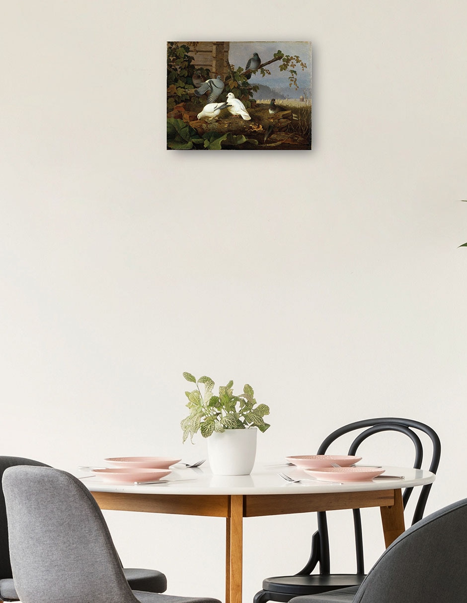 Cuadro decorativo Palomas técnica mixta Aves Silvestres 2
