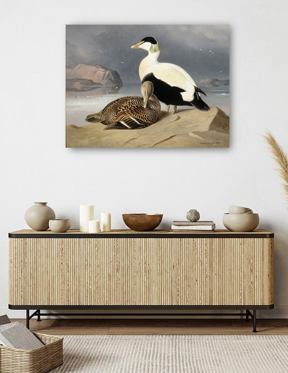 Cuadro decorativo Kaksi Haahkaa (1867) técnica mixta Aves Silvestres 5