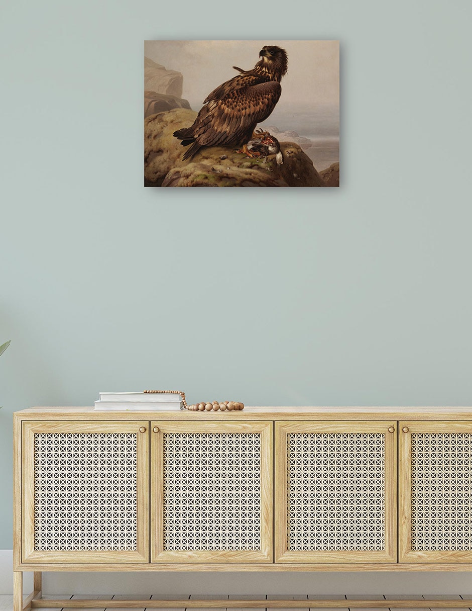Cuadro decorativo Águila de cola blanca con su presa (1861) técnica mixta Aves Silvestres 4