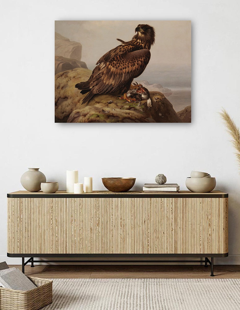 Cuadro decorativo Águila de cola blanca con su presa (1861) técnica mixta Aves Silvestres 5