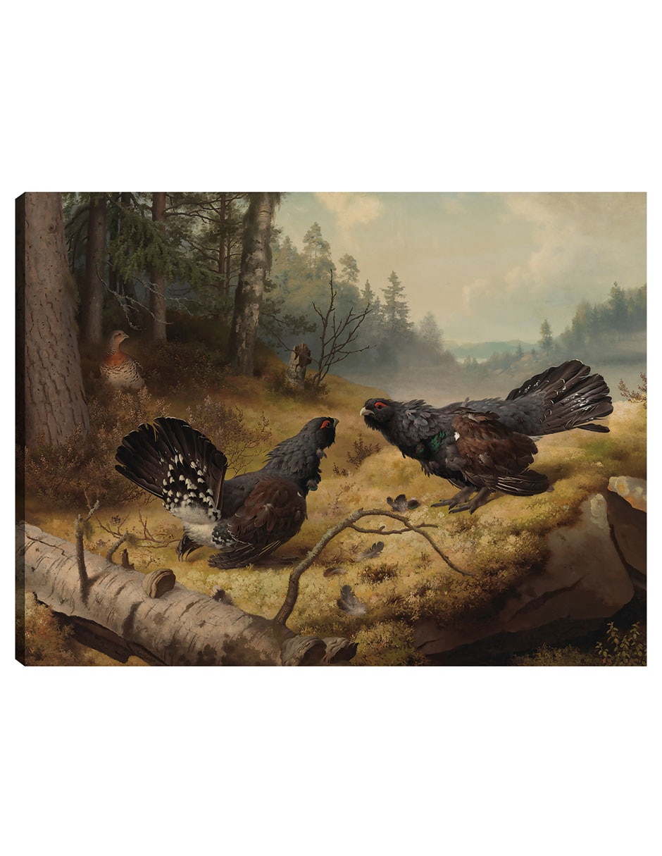 Cuadro decorativo Los urogallos luchadores (1886) técnica mixta Aves Silvestres
