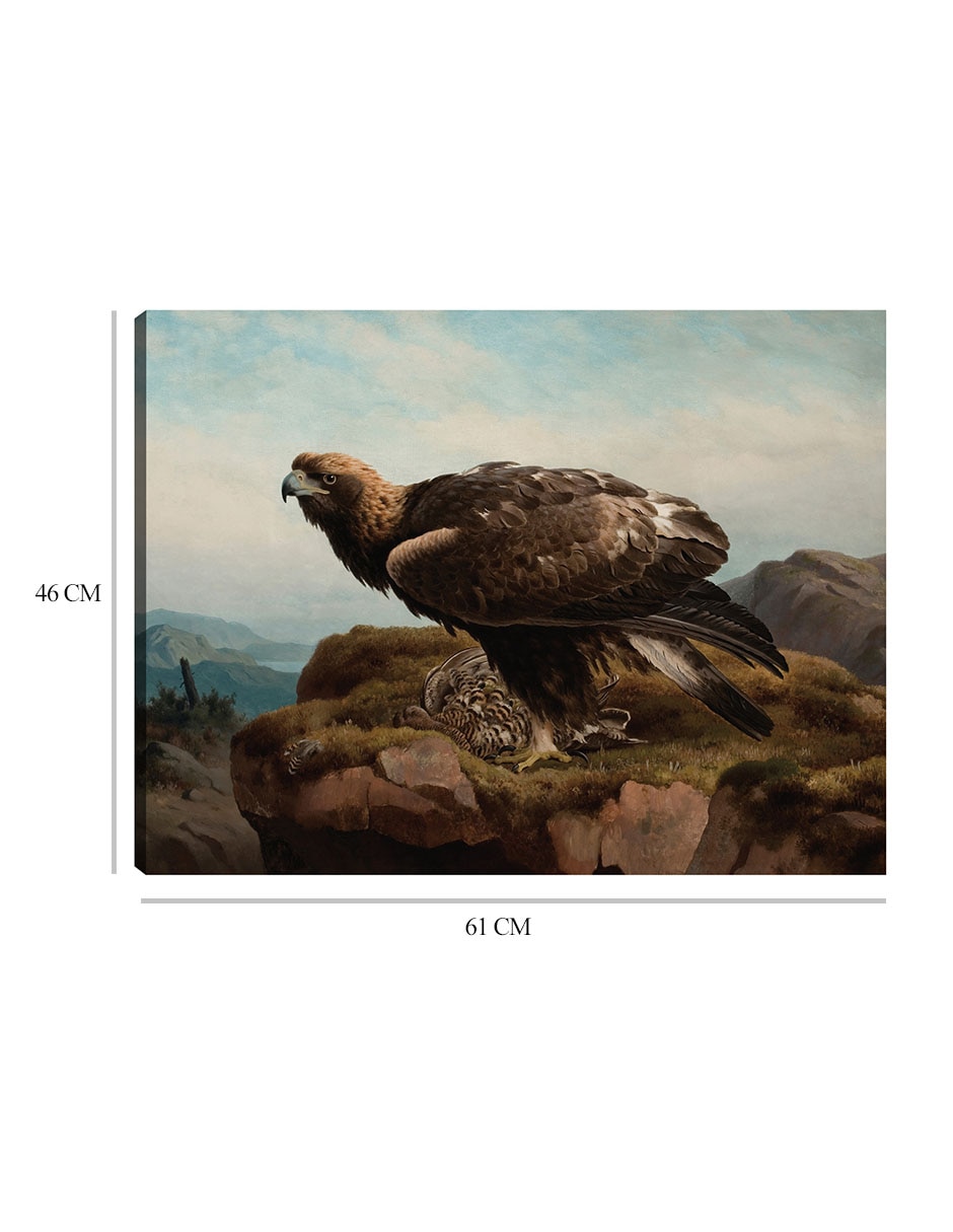Cuadro decorativo Águila real al borde de un acantilado (1880) técnica mixta Aves Silvestres 8